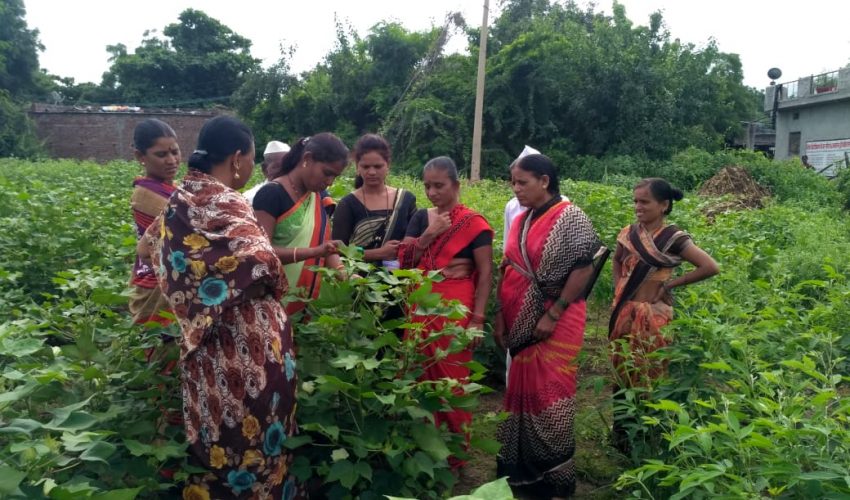 Farmer Training- Nagonyachiwadi