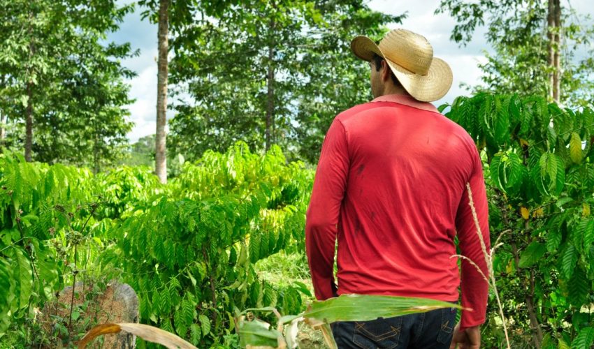 landscapes CIFOR brazil mato grosso